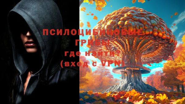 PSILOCYBIN Зеленокумск