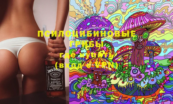 ешки Зерноград