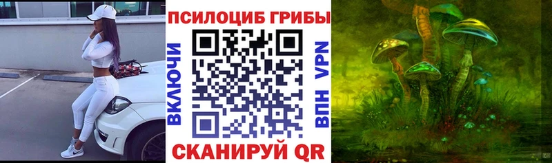 Псилоцибиновые грибы Magic Shrooms  Купить где  Верхоянск 